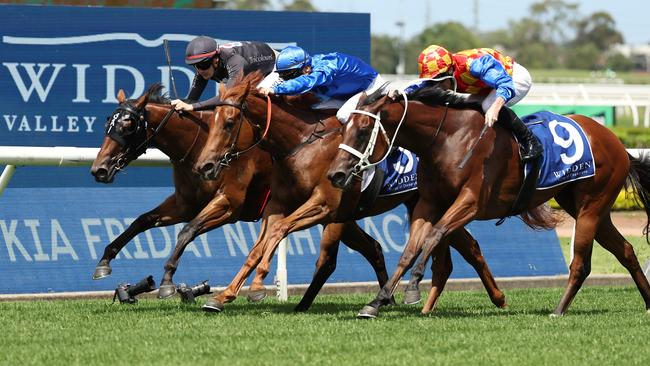 SYDNEY, AUSTRALIA - FEBRUARY 01: Regan Bayliss riding The Playwright win Race 4 Widden Stakes during Sydney Racing at Rosehill Gardens on February 01, 2025 in Sydney, Australia. (Photo by Jeremy Ng/Getty Images)