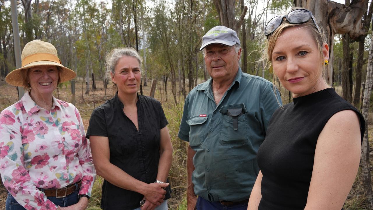 Discussing the state government's proposed North-South transport corridor through the Toowoomba region are local residents Kerry Schemioneck, Sandra Willis, Glen Polzin and Queensland Greens Senator Larissa Waters.