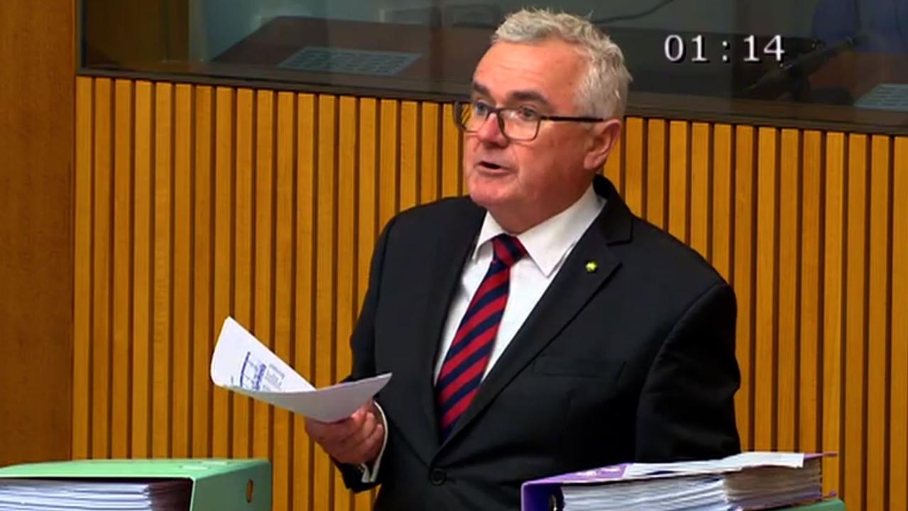 Andrew Wilkie speaking in the Federation Chamber. Picture: Supplied