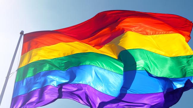 Rainbow flag fan claims deputy mayor neighbour abused him with ...