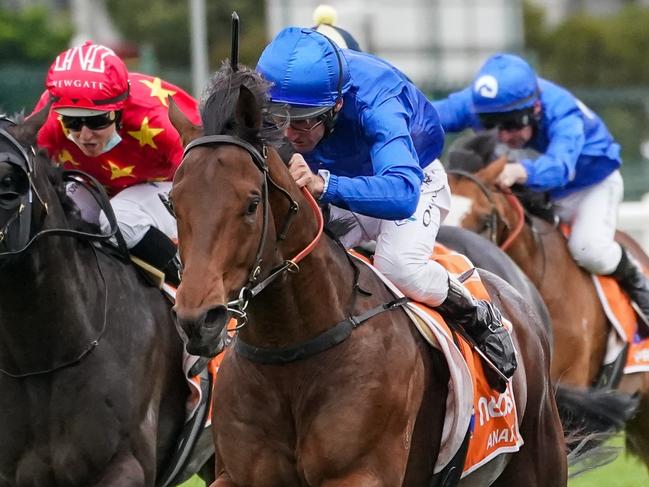 Anamoe ridden by Damien Oliver wins the Neds Caulfield Guineas at Caulfield Racecourse on October 09, 2021 in Caulfield, Australia. (Scott Barbour/Racing Photos via Getty Images)