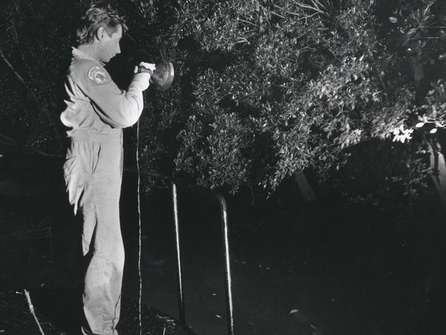 Conservation Commission Ranger Gary Shearsby shines a searchlight through scrubland in search of a rogue crocodile.
