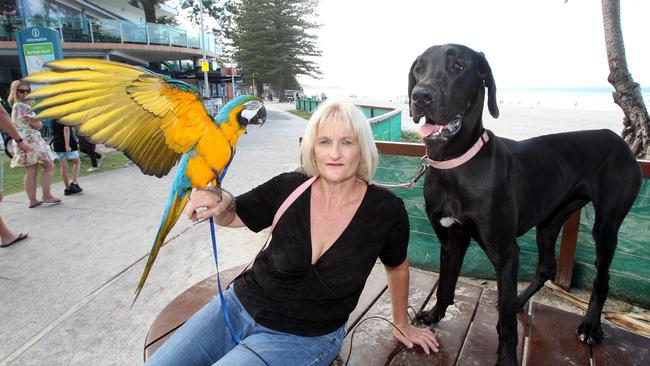 Simone Patterson the Founder and CEO of the Sanctuary Women, Children and Pet's Refuge says she will have to close down the operation if they are unable to locate a new ute. Picture Mike Batterham