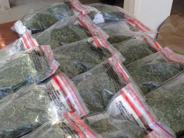 Bags of cannabis leaf seized by police after a raid on a Shadford property near Denmark. Two men were arrested.