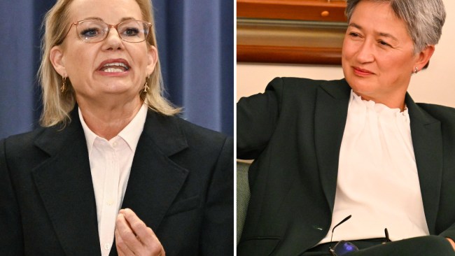 Wong blasts Ley for ‘politicising’ Israel-Hamas conflict after attack on PM