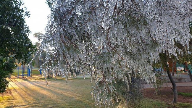 Ross Park Primary School staff captured images of icicles on the trees during a chilly morning where the mercury dipped to 1.4C overnight in Alice Springs Picture: Ross Park Primary School