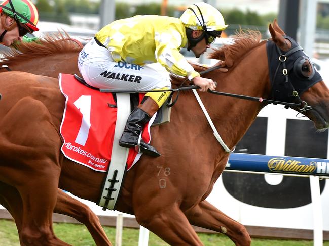 Caulfield Guineas Races, Race 6 Ladbrokes Caulfeild Stakes ridden over 2000 metres, Winner no. 1 Criterion ridden by Michael Walker trained by David Hayes anf Tom Dabernig. 10th of October, Melbourne Australia. Picture: Jay Town