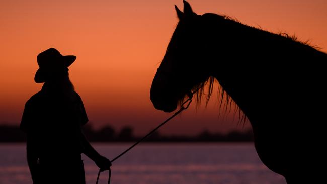 Paul Bandy with one of the horses.