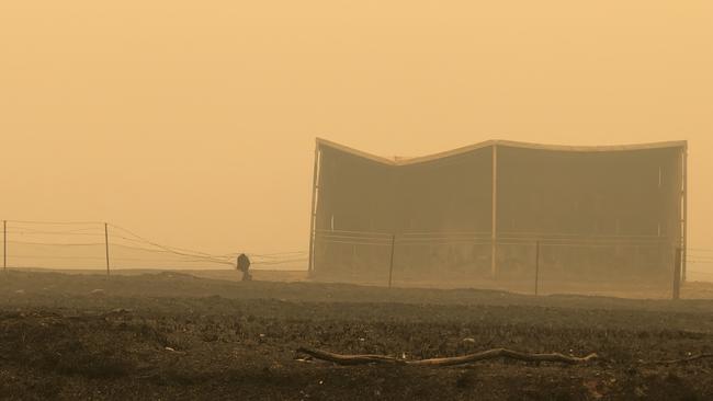 Smoke fills the air as nothing but scorched earth remains. Picture Perry Duffin