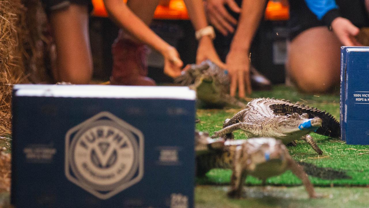 Croc racing at the Berry Springs Tavern for Melbourne Cup Day: Crocs get off and racing in race one. Picture: GLENN CAMPBELL