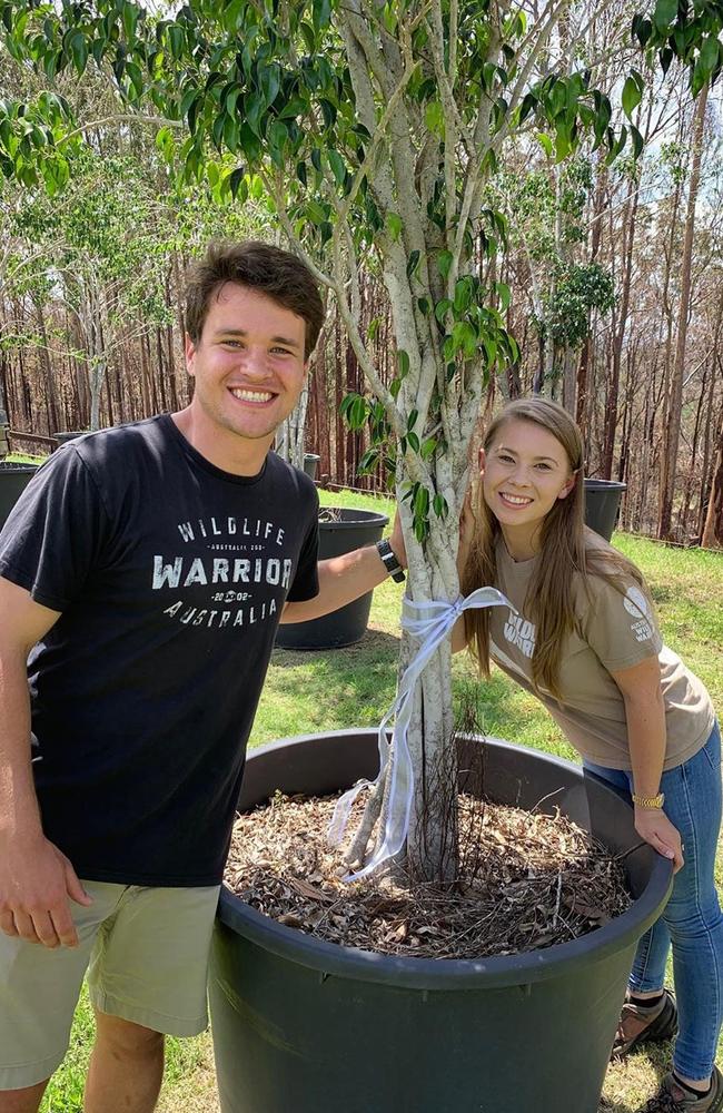 Bindi Irwin and Chandler Powell pose with a tree gifted to them by Russell Crowe for their wedding. Picture: Instagram/@bindisueirwin