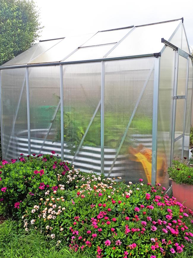 Defy seasons: The greenhouse that has changed Tony’s mind. Picture: Fawcett Media