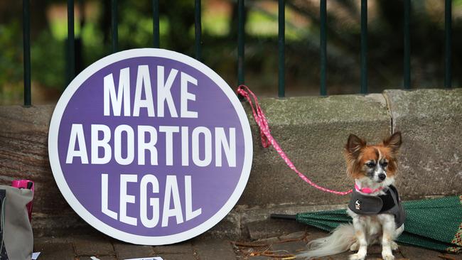 A dog at a pro-choice anti-abortion rally outside Queensland State Parliament in 2016. Picture: Claudia Baxter