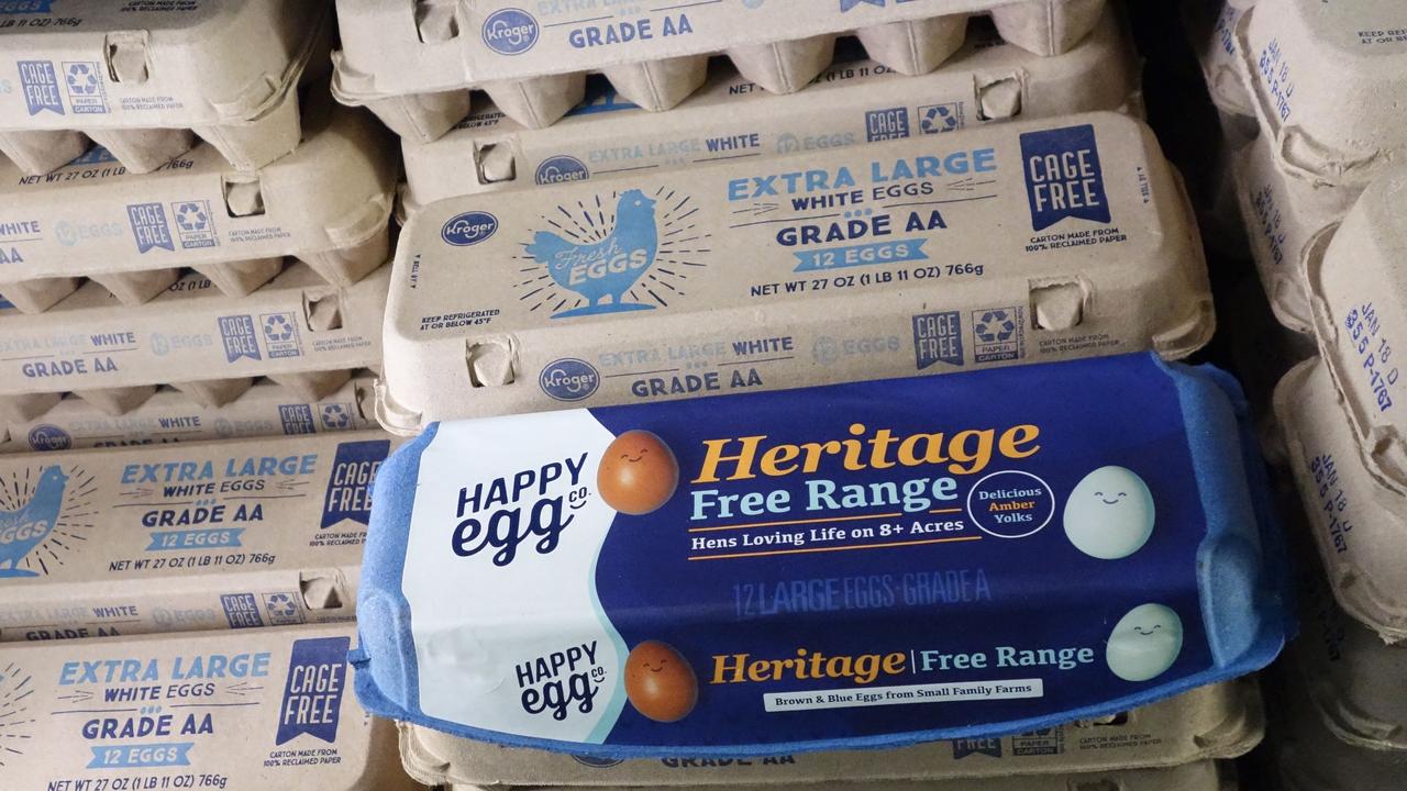 Egg shortage hits South Australian supermarket shelves The Advertiser