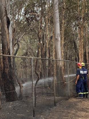 Firefighters putting out the embers at the reserve. Picture: Rachelle Harika