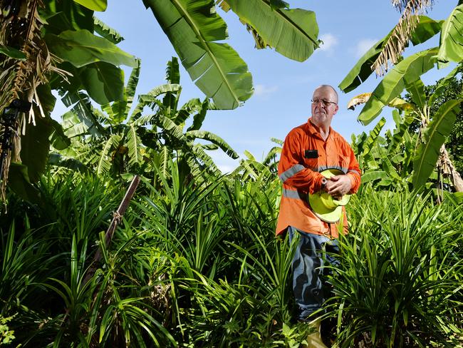 Mr Bekkers condemned the 2014 response plan and the NT government’s decision to decimate his banana plantation even though his plants were not infected by the disease. Picture: Elise Derwin.