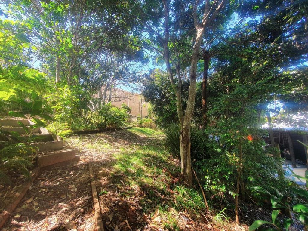 The current backyard of the Port Macquarie property. Picture: Supplied