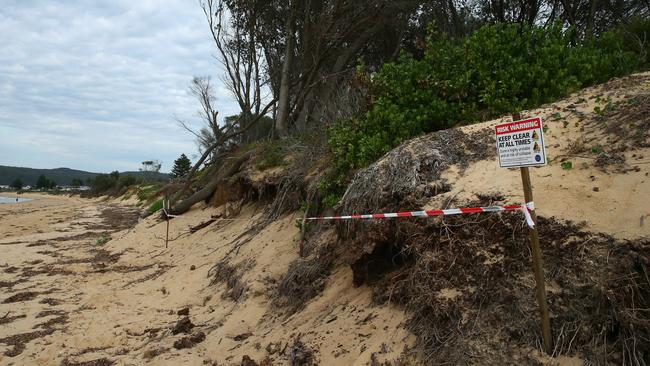 The king tide and big swells has undercut large sections of the vegetation. (AAP Image/Sue Graham)