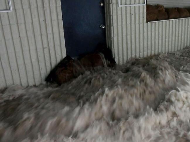 Professional storm chaser Daniel Hair has captured incredible video of the storm surge hitting Mackay QLD. Picture: Daniel Hair/Severe Weather