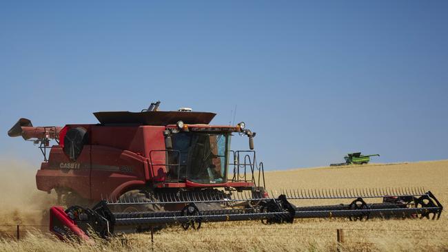 Large supplies: Grain Trade Australia chief executive officer Pat O’Shannassy says with high supplies this season following years of drought, Australian exports are tipped to go back to delivering good volumes to traditionally big buyers.