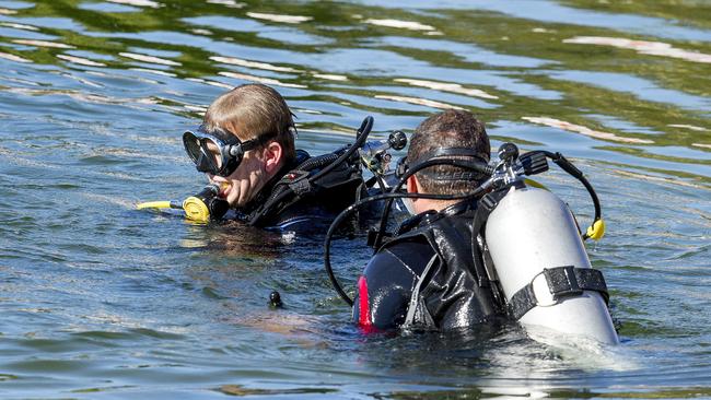 Sea World divers to go hunting for a stone fish which has been seen in Evandale Lake. Picture: Jerad Williams