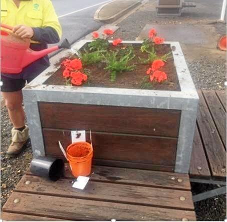 Flowers have been stolen from flowerbeds along the Warrego Highway three times in the past four months. Picture: Contributed