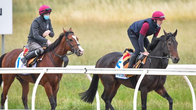 Tiger Moth and Anthony Van Dyck at Werribee Racecourse on November 01, 2020 in Werribee, Australia. (Reg Ryan/Racing Photos via Getty Images)