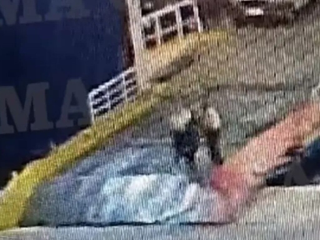Greece ferry passenger dies after being pushed off ramp by crewman. Picture: @kakajason50/Twitter
