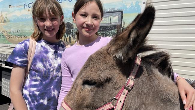 Adelaide Beck and Maddison Hardie pat a donkey.