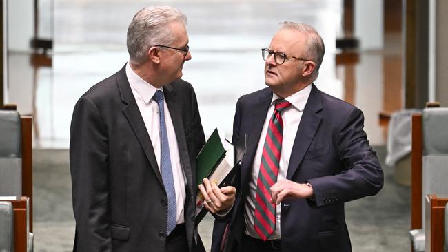 Home Affairs Minister Tony Burke last week with Anthony Albanese in question time. Picture: Martin Ollman/NewsWire