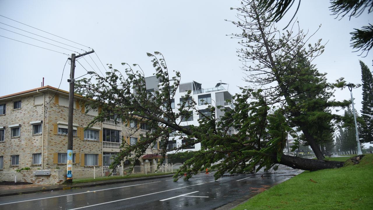 Damaged trees dangle over powerlines as battering continues