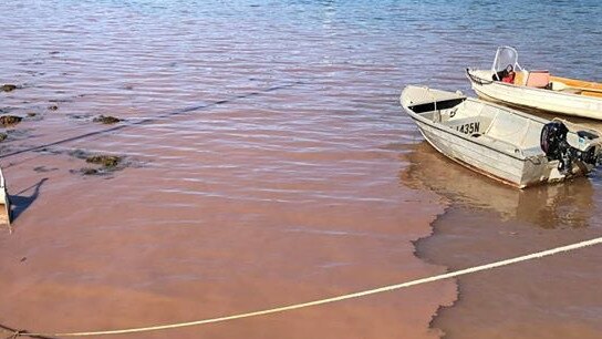 The “drilling mud’ spread along the southern end of Scotland Island. Picture: NSW Fire &amp; Rescue (Forestville)