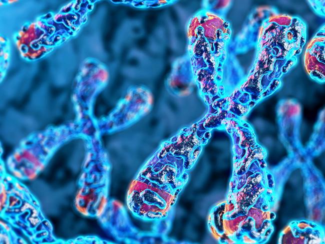 It may have something to do with having two X chromosomes, which defend against ageing. Picture: iStock