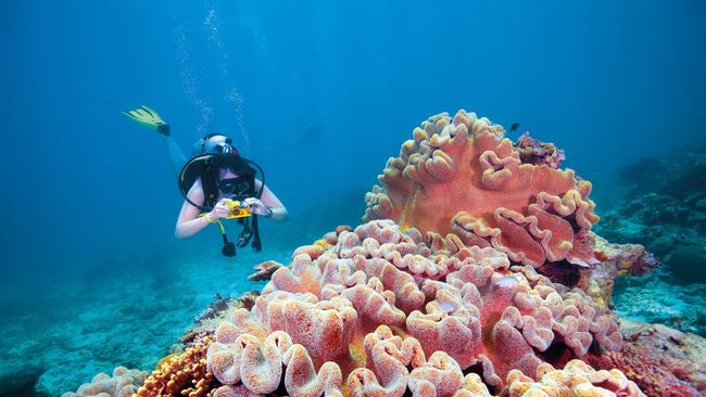 Mark Olsen, TTNQ CEO, said Cairns tourism drawcards such as the Great Barrier Reef will be on display during the G’day Australia event in October. Picture: Supplied