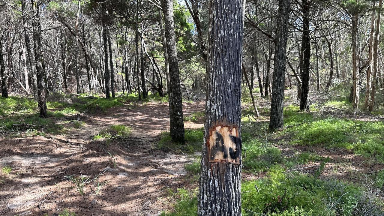 An Indigenous ownership sign. Picture: Des Houghton