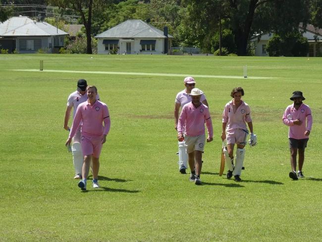 Meet's Wagga's new cricket club the Murrumbidgee Mankadders Cricket Club. Picture: Supplied