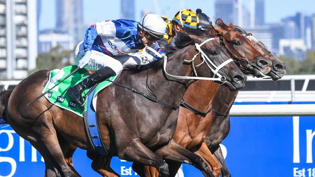 Atishu won the Blamey Stakes at Flemington to book a ticket in the All-Star Mile. Picture: Pat Scala/Racing Photos via Getty Images