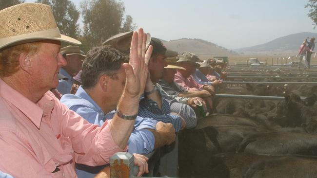 Elders agent Stephen Street puts in a bid during the 2007 Benambra calf sale.