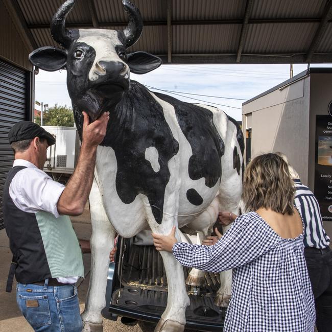 Ted Ellison – owner of the Paddock, Michelle Mirandilla – activations manager at the Spotted Cow and Amelia Harney – assistant manager at the Spotted Cow load old Betsy up into the ute following her recent discovery. Picture: Nev Madsen.