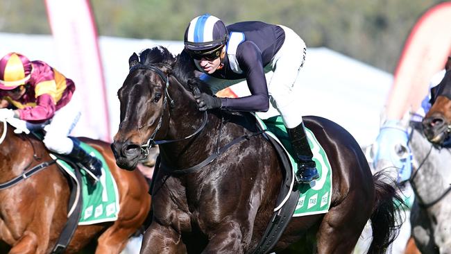 Deepour lines up in The Meteorite for new trainer Nick Ryan. Picture: Grant Peters/Trackside Photography