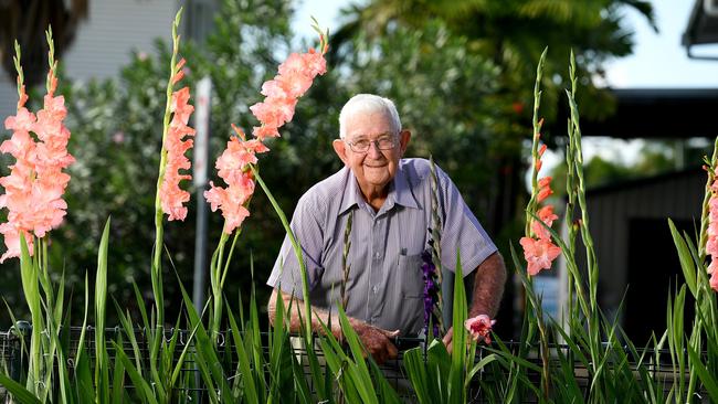 Laurie Neilson, 82, has be exhibiting his Gladolis for over 15 years at the Townsville Show. Picture: Shae Beplate.