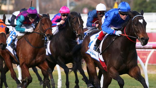 Rillito in cruise control at Caulfield two weeks ago. Picture: AAP