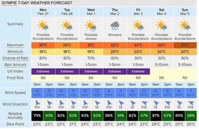 RAIN, YES PLEASE! Gympie's 7-day forecast, courtesy of Weatherzone. Picture: Contributed