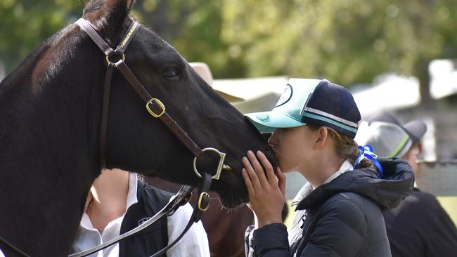 Moments captured in and out of the saddle at Hawthorne Park