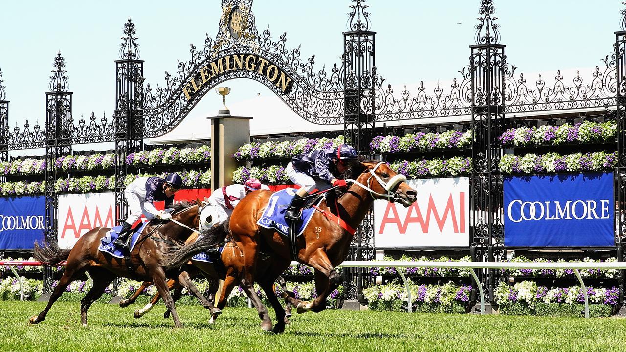 MELBOURNE, AUSTRALIA - NOVEMBER 02:  Jim Cassidy riding Zoustar crosses the line to win race 4 the Coolmore Stud Stakes during Derby Day at Flemington Racecourse on November 2, 2013 in Melbourne, Australia.  (Photo by Quinn Rooney/Getty Images)