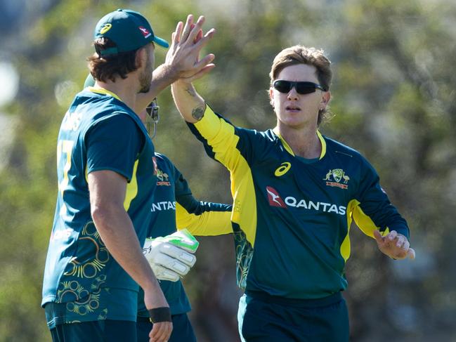 Adam Zampa voiced his concerns about criticism from former players. Picture: Getty