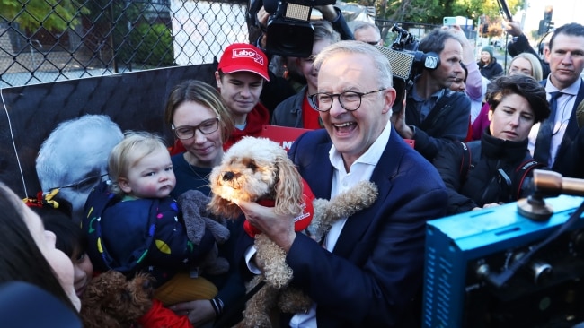 Opposition Leader Anthony Albanese holds a supporters dog at a polling booth in the electorate of Higgins. Picture: Lisa Maree Williams/Getty Images