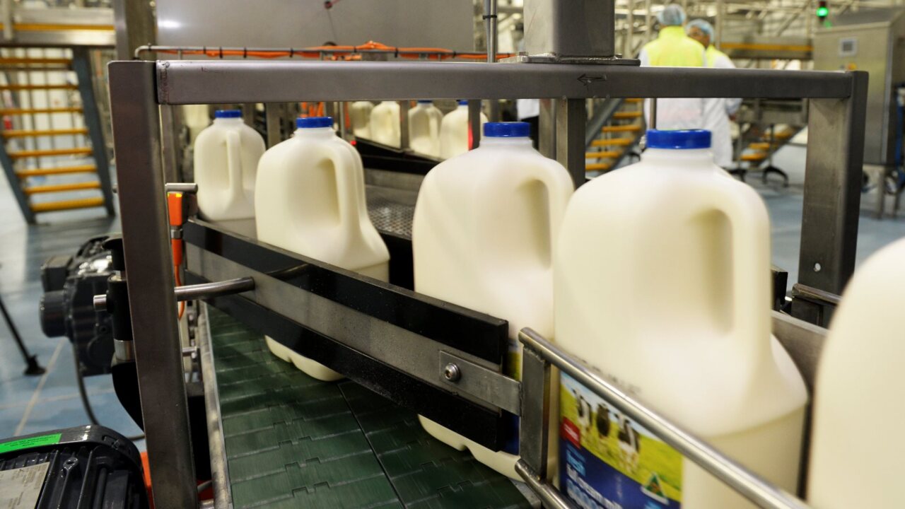 Dairy sector demands stricter labelling to differentiate from plant-based products