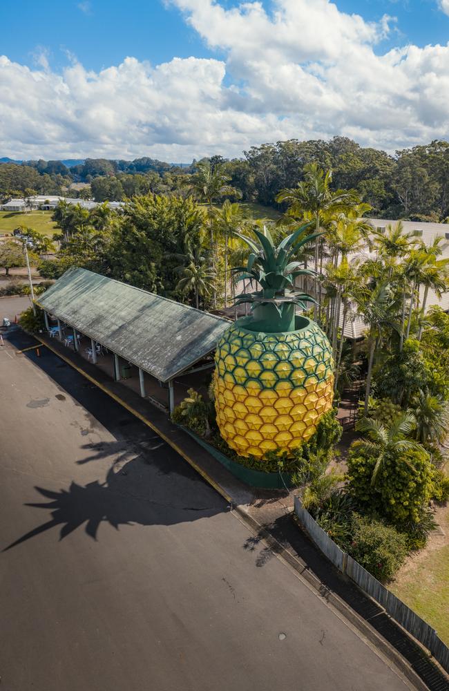 The Big Pineapple on the Sunshine Coast. Picture: Contributed