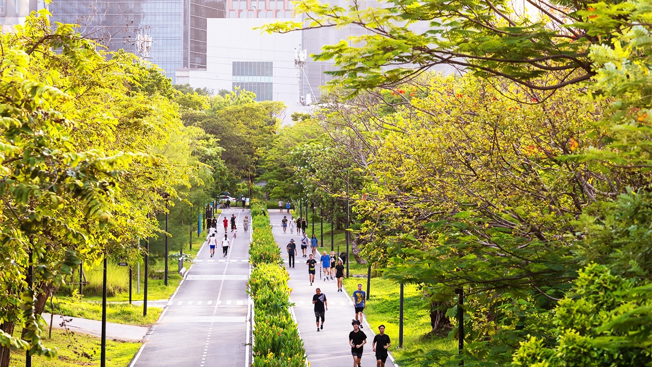 <h2>5. Breathe deep in green space in the city centre</h2><p>Benjakitti Park is a 42ha oasis of tropical trees and lakes, smack-bang in the middle of the city. Completed in 2022, many are calling it Bangkok&rsquo;s answer to New York&rsquo;s Central Park. &ldquo;It&rsquo;s a nature heaven in the middle of a Blade Runner city,&rdquo; says Fa&#769;bio Costa, head chef of the boundary-obliterating fine-diner <a href="https://gaggan.com/" target="_blank" rel="noopener">Gaggan</a>.</p><p>Built on the grounds of a former tobacco factory that was once owned by the Thai royal family, it has skywalks that tower over the treetops, kayaks and paddleboats, and a 10km running track. &ldquo;It&rsquo;s a great place to escape the traffic and the skyscrapers,&rdquo; says Costa.</p>